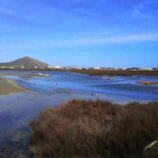Počasí nám na sobotu vychází a tak jsme se vydali do Parc natural de s'Albufera nedaleko Alcudie. . . . . ....