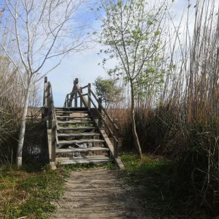 Ještě rychlá rekapitulace 👀 dnešního výletu do ➡️#parcnaturaldesalbufera⬅️ Myslíme, že jsme tu nebyli naposledy. 🏞️ . . ....