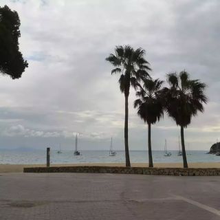 Včera jsme se prošli podél pobřeží do Magalufu, který přímo navazuje na Palmanovu. Procházka sice nebyla příliš dlouhá,...